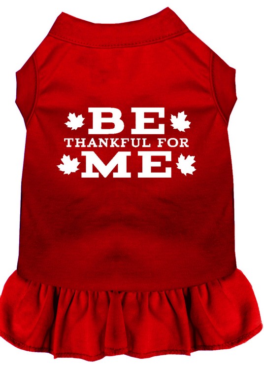 Be Thankful for Me Screen Print Dress Red Med